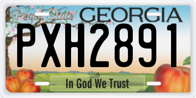 GA license plate PXH2891