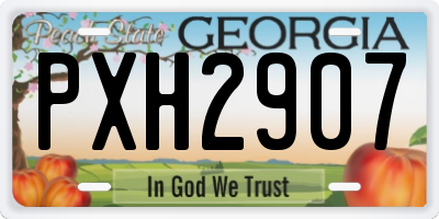 GA license plate PXH2907
