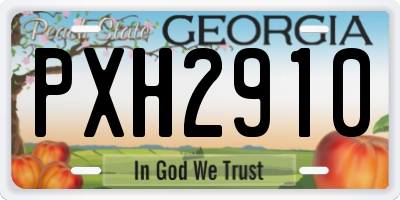 GA license plate PXH2910