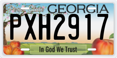 GA license plate PXH2917