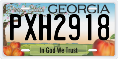 GA license plate PXH2918