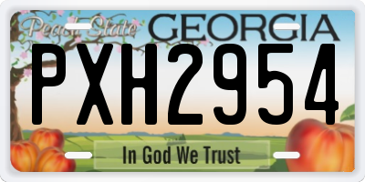 GA license plate PXH2954