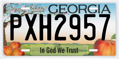 GA license plate PXH2957