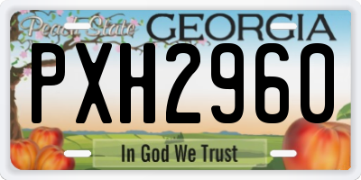 GA license plate PXH2960
