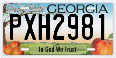 GA license plate PXH2981