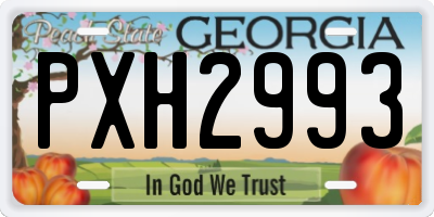 GA license plate PXH2993