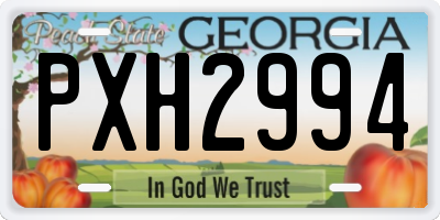 GA license plate PXH2994
