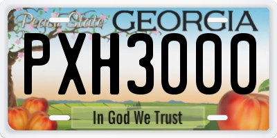 GA license plate PXH3000