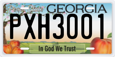 GA license plate PXH3001