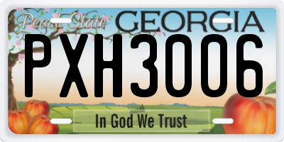 GA license plate PXH3006