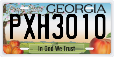 GA license plate PXH3010