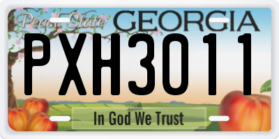 GA license plate PXH3011