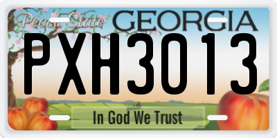 GA license plate PXH3013