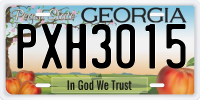 GA license plate PXH3015