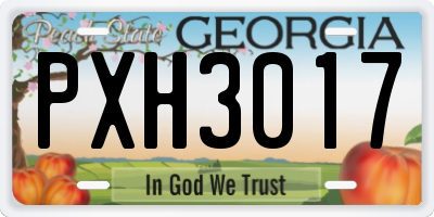 GA license plate PXH3017