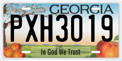 GA license plate PXH3019