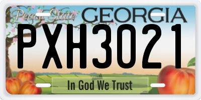 GA license plate PXH3021