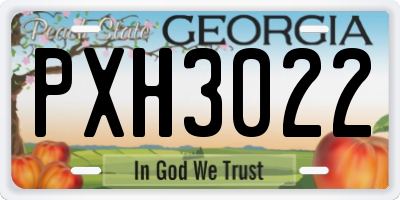 GA license plate PXH3022