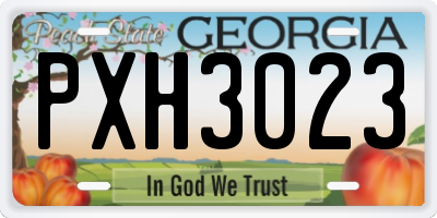 GA license plate PXH3023