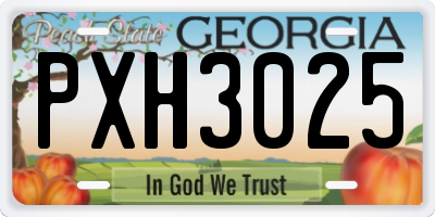 GA license plate PXH3025
