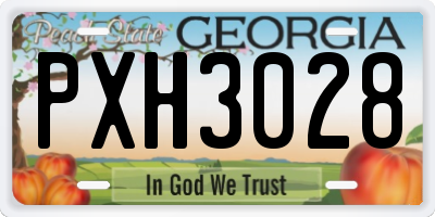 GA license plate PXH3028