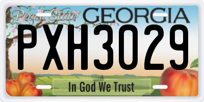 GA license plate PXH3029