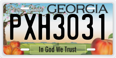 GA license plate PXH3031