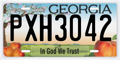 GA license plate PXH3042