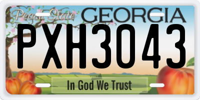 GA license plate PXH3043