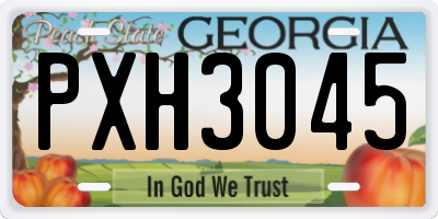 GA license plate PXH3045