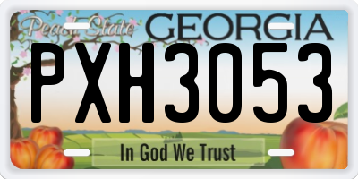GA license plate PXH3053