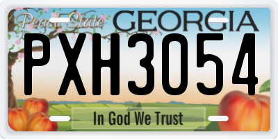 GA license plate PXH3054
