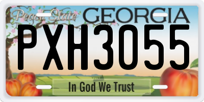 GA license plate PXH3055
