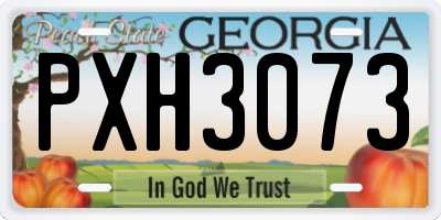 GA license plate PXH3073