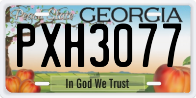 GA license plate PXH3077