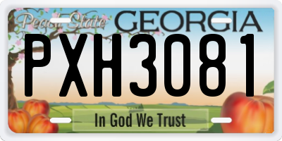 GA license plate PXH3081
