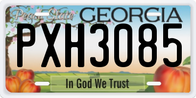 GA license plate PXH3085