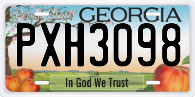GA license plate PXH3098
