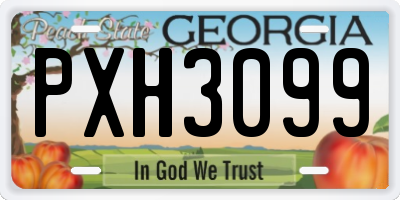GA license plate PXH3099