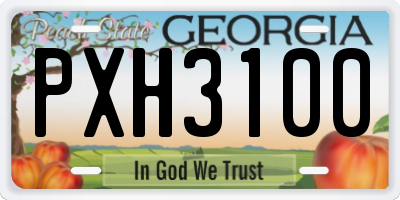 GA license plate PXH3100