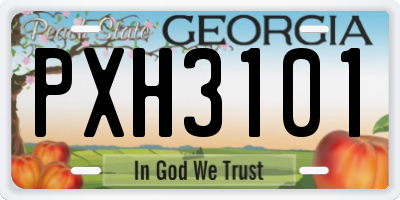 GA license plate PXH3101