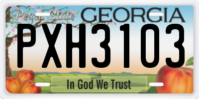 GA license plate PXH3103