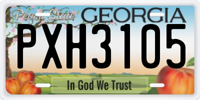 GA license plate PXH3105