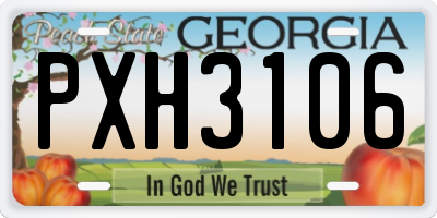 GA license plate PXH3106