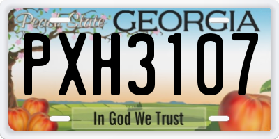 GA license plate PXH3107