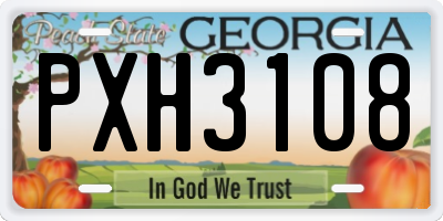 GA license plate PXH3108