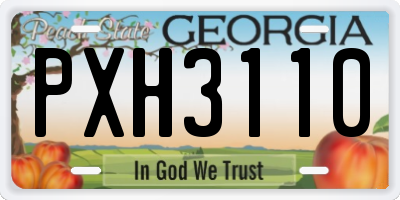 GA license plate PXH3110