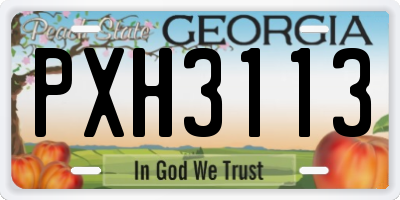 GA license plate PXH3113
