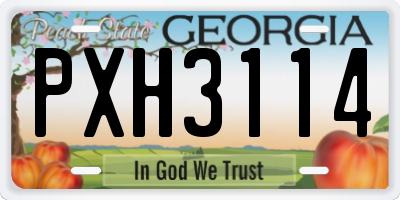 GA license plate PXH3114