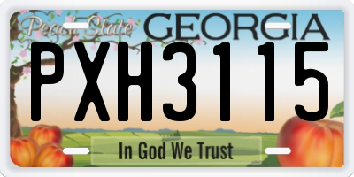 GA license plate PXH3115